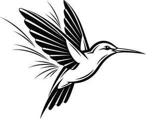 Obraz premium Hummingbird vector illustration flying bird design black and white art eps silhouette