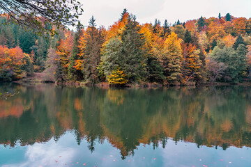 Reflets d'automne au Lac de l'Arboretum du Vallon de l'Aubonne