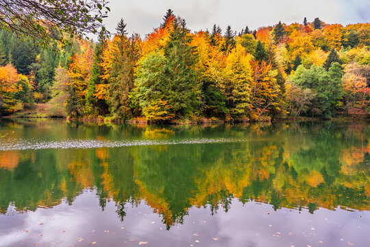 Reflets d'automne au Lac de l'Arboretum du Vallon de l'Aubonne