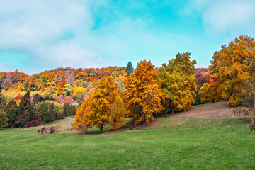 Couleurs d'automne vibrantes sur la colline