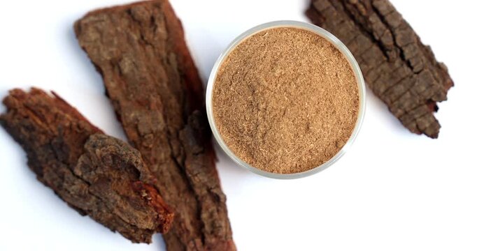 Babul Chaal - Acacia Bark, also known as Vachellia,Nilotica bark,Kikar Ki Chaal, Gum Arabic Tree Bark