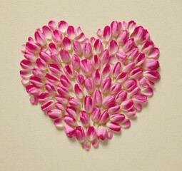 A heart shape made entirely from pink and white tulip petals on a beige background