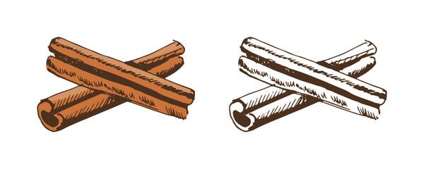 Hand drawn vintage sketch of cinnamon sticks in color and monochrome, isolated vector food spice illustration