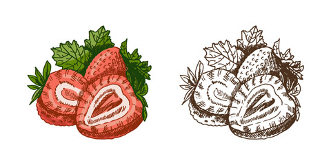 Hand drawn vintage sketch of fresh strawberries with leaves in color and monochrome, isolated vector fruit illustration