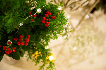 クリスマスツリーと飾り