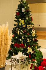 クリスマスツリーのある風景