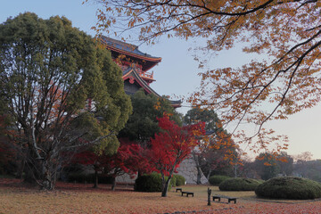 京都　伏見桃山城　秋の早朝の風景