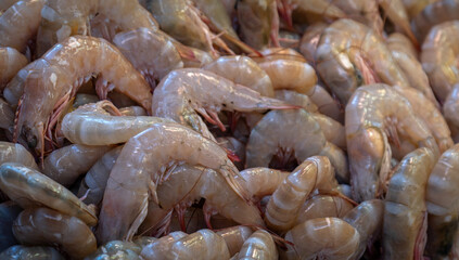 fresh shrimps. Sold at fish markets.