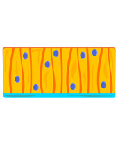 set of colorful wooden pencils