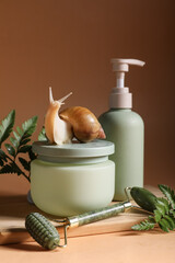 Wooden board, giant Achatina snail, facial massage tool, bottle and jar of cosmetic products on brown background, closeup