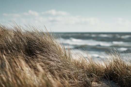 Coastal dunes with grass, sea, and cloudy sky view