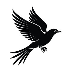 Fototapeta premium Black bird in flight, a graceful silhouette with wings spread, symbolizing freedom, nature, and movement, isolated on
