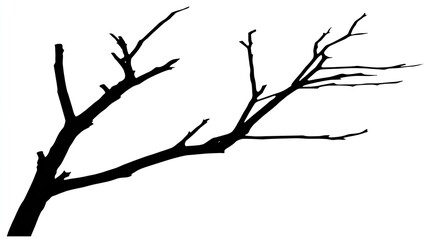 Obraz premium Silhouette of a bare tree branch system shows intricate dark shapes against a white background