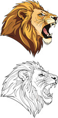 Vector illustration set of a fierce roaring lion head with a golden mane in full color and black and white outline.