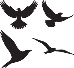 Bird Flying With Wings Spread Silhouette on White Background