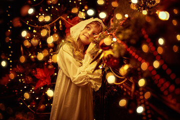 Naklejka premium Fairytale Holiday Dream