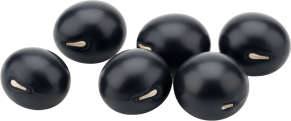 Six smooth dark black beans with distinct light hilum marks grouped closely together isolate raw beans dry beans legumes healthy food ingredient whole food