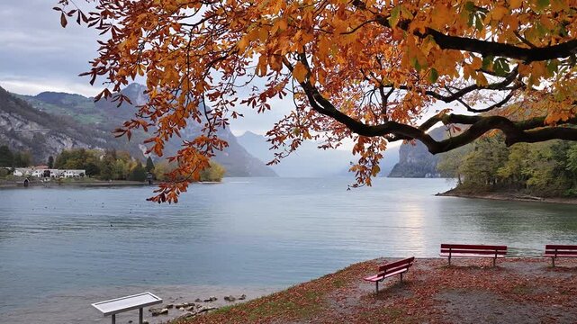 Autumn lake scene with mountains at Walensee Switzerland