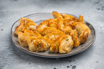 Crispy pan fried jiaozi dumplings with sesame served on dark plate. Asian mandu potstickers