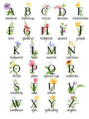 vector drawing floral alphabet with wild flowers and plants, english letters and branches with green leaves and fruits, isolated at white background, hand drawn illustration