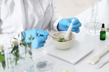 Young female biologist with mortar, pestle and plants working in lab, closeup