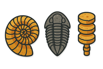 Ancient marine fossils set featuring ammonite, trilobite, and crinoid stem segments