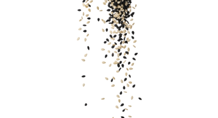 Falling Sesame Seeds, isolated on transparent background