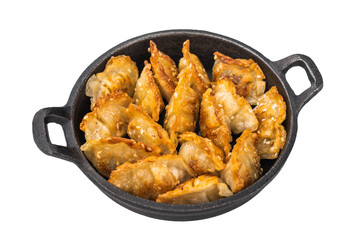 Crispy dim sum gyoza with sesame on dark plate against bright background. Asian fried dumplings ideal for culinary blogs and restaurant promotions.
