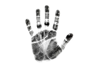 A meticulously detailed black ink human handprint with distinct dermal ridges on a transparent background, captured with macro photorealistic precision, concept of individual human identity