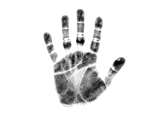 A meticulously detailed black ink human handprint with distinct dermal ridges on a transparent background, captured with macro photorealistic precision, concept of individual human identity