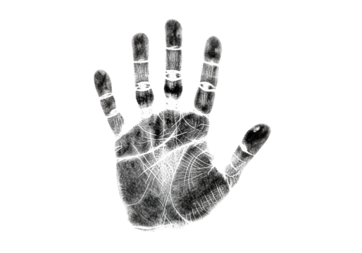 A meticulously detailed black ink human handprint with distinct dermal ridges on a transparent background, captured with macro photorealistic precision, concept of individual human identity