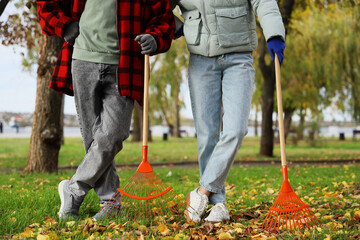 Couple with rakes gathering autumn leaves outdoors