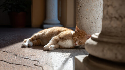 Peaceful ginger cat sleeping outdoors in warm sunlight. stray animal napping and resting on stone floor next to an old historic column