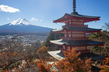 Naklejka premium Red Chureito Pagoda and Snow covered Mount Fuji blue sky in Autumn. Shimoyoshida - Arakurayama Sengen Park in Fujiyoshida near Kawaguchiko. Japan