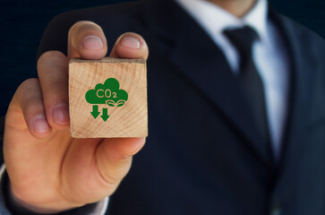 Carbon emission concept. Sustainable business development. Net zero emissions. Renewable energy, sustainable technology, ecology solutions. Wood block with CO2 emission reduction icon.