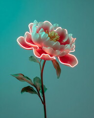 single peony flower made of neon tubes, against soft teal background, whimsical still-life