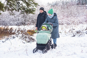 A family is walking in a winter park, a teenage boy is pushing a baby stroller, his dad is walking next to him.