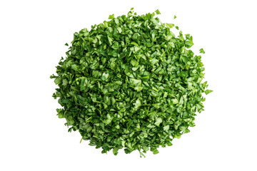 Pile of chopped fresh parsley isolated on transparent background. Fresh parsley herb isolated on white background.