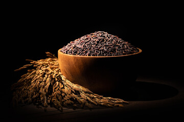 Black rice and ears of rice under the spotlight.Black rice is in a wooden bowl, with some ears of rice placed beside it.