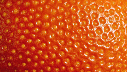 A vibrant macro close-up reveals the textured, porous skin of an orange or tangerine, showcasing its intricate surface and oil glands.