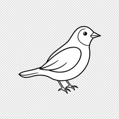 Charming hand drawn outline of a small bird standing on its legs with a clean transparent background for easy integration