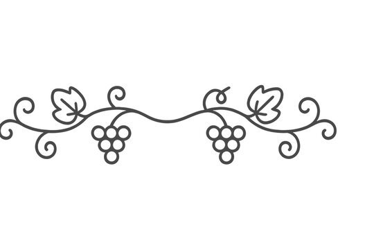Elegant horizontal divider with stylized grape clusters and swirling vine leaves