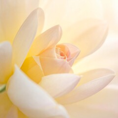 Obraz premium ペールイエローとクリームの柔らかな光が重なり、あたたかく包み込むような優しい雰囲気を作り出す背景です。 ふんわり広がるパステルの光が柔らかな輝きを与え、穏やかで明るい世界観を表現します。