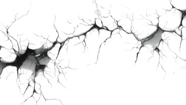Detailed white crack isolated on transparent background, showcasing intricate patterns and suggesting themes of fragility, damage, and the passage of time on surface