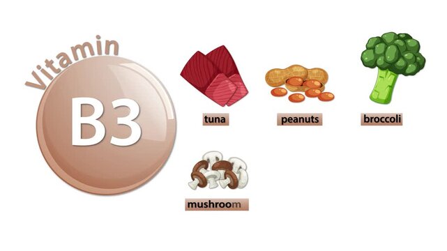 Vitamin B3 Sources Animation With Food Illustrations on White Background
