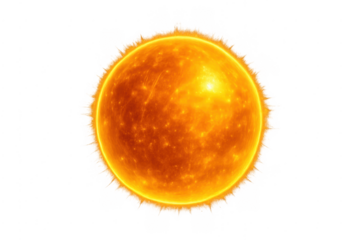 Sun star illuminating solar system with transparent background