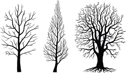 Obraz premium Branch flat design flower silhouettes vector illustration set