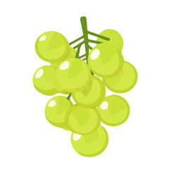 Icon clipart, Minimalistic 2D flat icon featuring a sliced_green_grape isolated on a white background, an element in vector and EPS format
