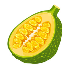 Icon set, Minimalistic 2D flat icon sliced_jackfruit isolated on a white background, an element in vector and EPS format