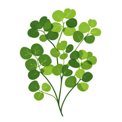 Minimalistic 2D icon featuring a sorrel_leaves isolated on a white background, an element in vector and EPS format, Icon clipart set